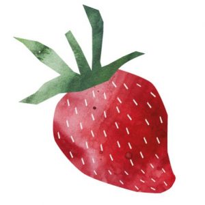 illustrierte Erdbeere